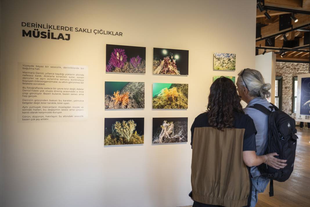 Adaların su altı dünyası Taş Mektep’te sanatseverlerle buluştu 5